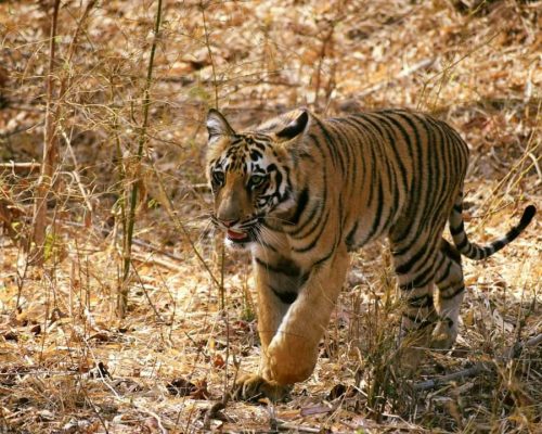 Kanaha National Park